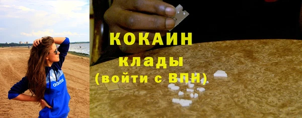 дмт Вяземский