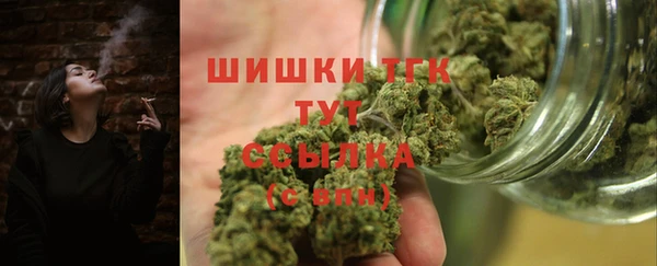 ПСИЛОЦИБИНОВЫЕ ГРИБЫ Вязники