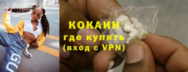 твердый Горняк