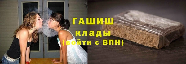 ПСИЛОЦИБИНОВЫЕ ГРИБЫ Вязники