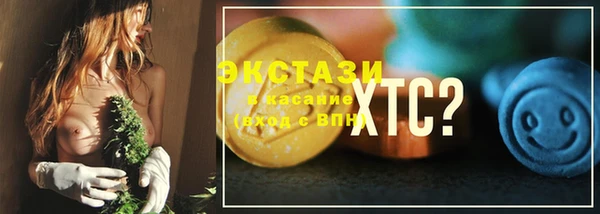 твердый Горняк