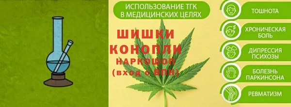 дмт Вяземский