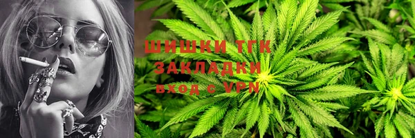 твердый Горняк