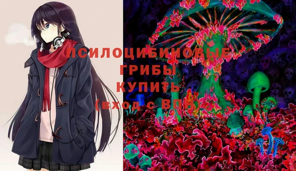 дмт Вяземский
