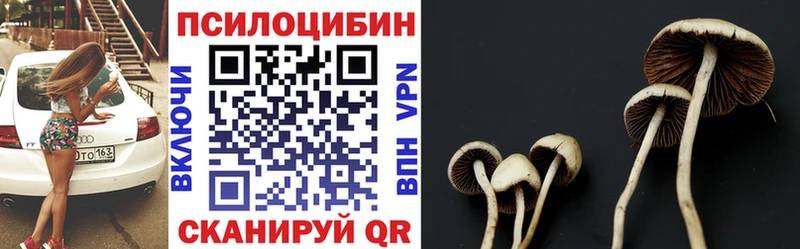 Галлюциногенные грибы GOLDEN TEACHER  Мещовск 